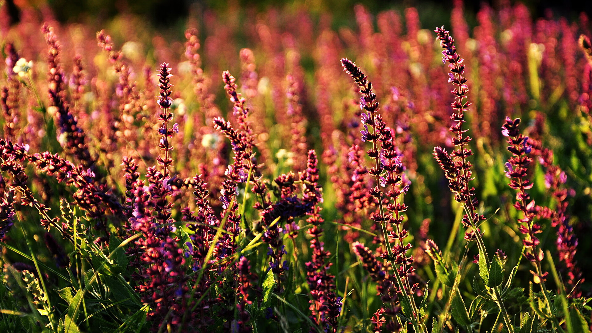 全国青少年攀岩比赛在北京盛大开幕,2021年全国青少年攀岩锦标赛