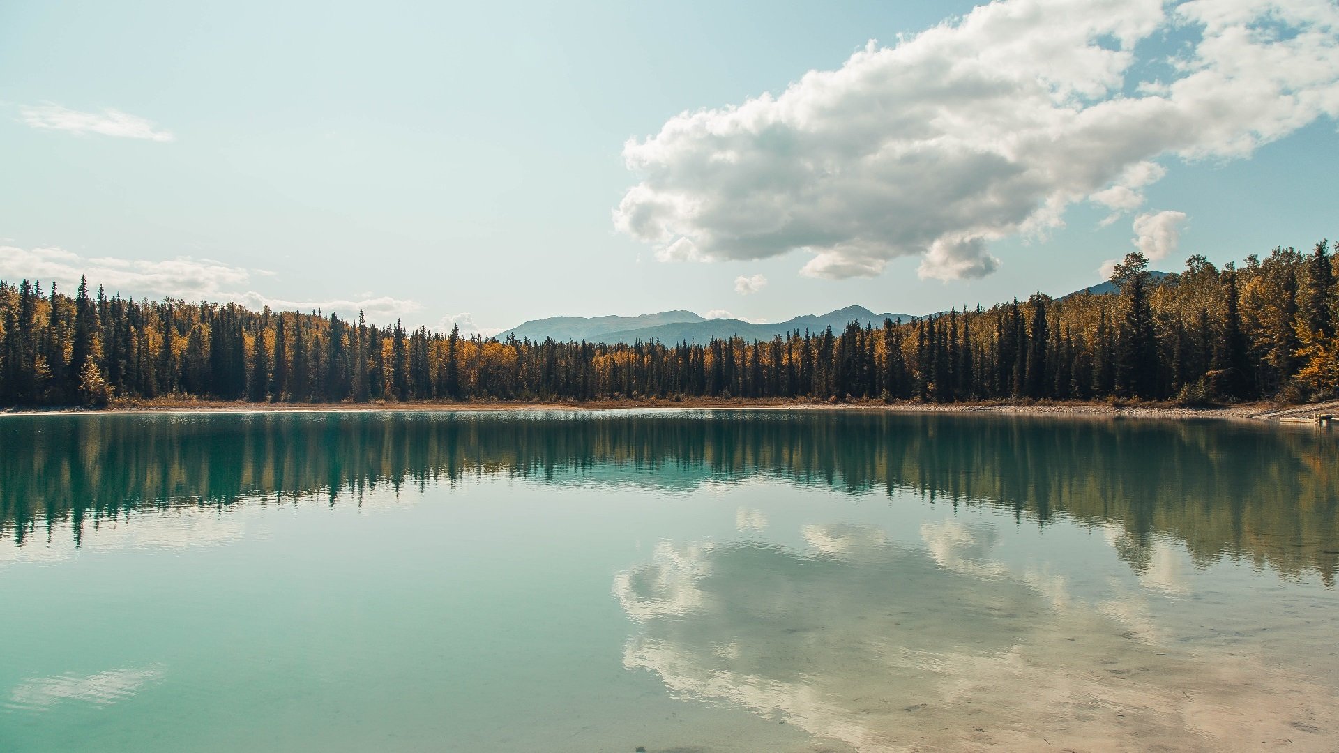 国足场上沟通频率与协作效率分析，中国足球交流