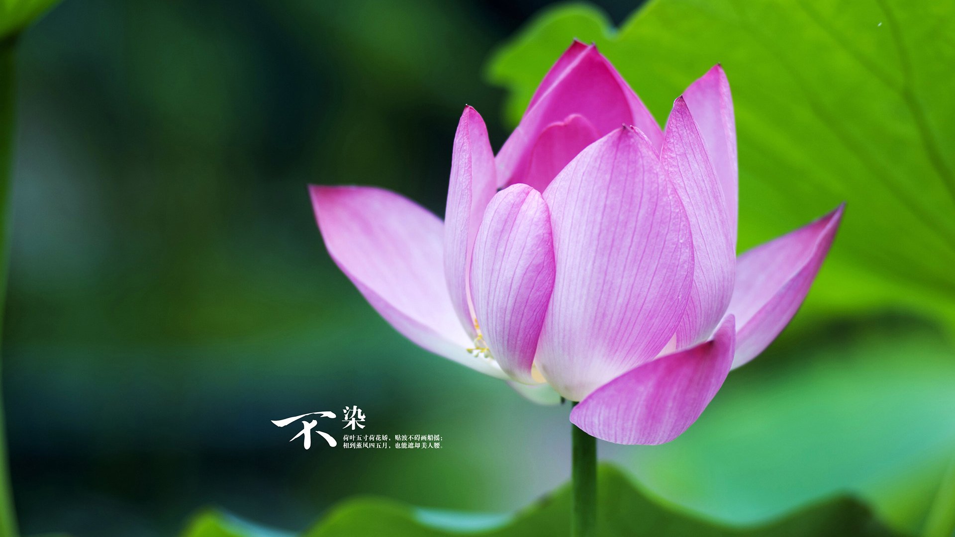 新闻中心完成生产线升级,生产新闻报道